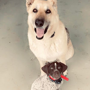 Meet your Posher, Sarah